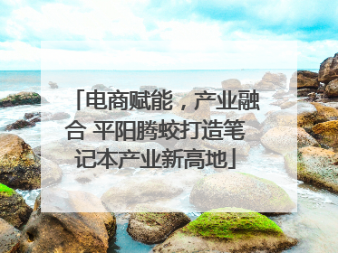电商赋能，产业融合 平阳腾蛟打造笔记本产业新高地