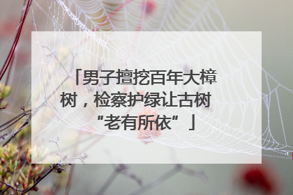 男子擅挖百年大樟树，检察护绿让古树“老有所依”