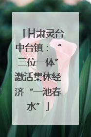 甘肃灵台中台镇：“三位一体”激活集体经济“一池春水”