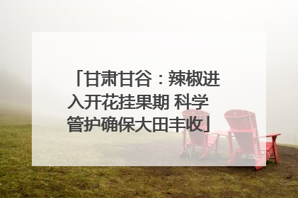 甘肃甘谷：辣椒进入开花挂果期 科学管护确保大田丰收