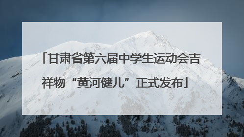 甘肃省第六届中学生运动会吉祥物“黄河健儿”正式发布