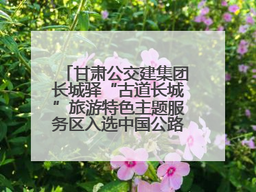 甘肃公交建集团长城驿“古道长城”旅游特色主题服务区入选中国公路学会“2025年度交通与旅游融合创新项目”