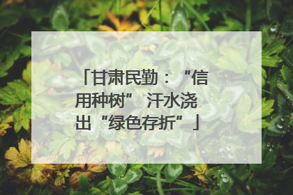 甘肃民勤：“信用种树” 汗水浇出“绿色存折”