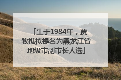 生于1984年，贾牧樵拟提名为黑龙江省地级市副市长人选