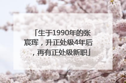 生于1990年的张宸珲，升正处级4年后，再有正处级新职