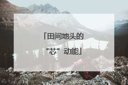 田间地头的“芯”动能