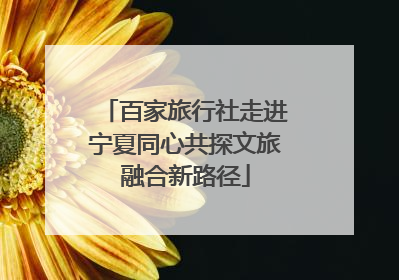 百家旅行社走进宁夏同心共探文旅融合新路径