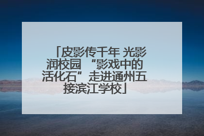 皮影传千年 光影润校园 “影戏中的活化石”走进通州五接滨江学校