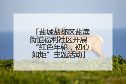 盐城盐都区盐渎街道福利社区开展“红色年轮，初心如炬”主题活动