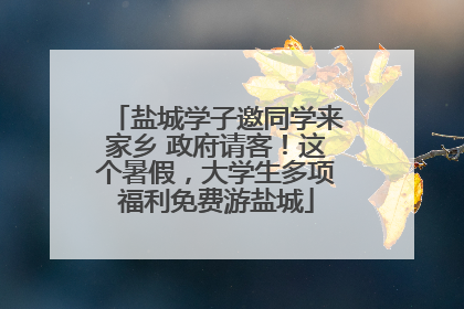 盐城学子邀同学来家乡 政府请客！这个暑假，大学生多项福利免费游盐城