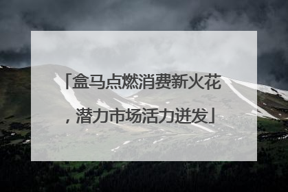 盒马点燃消费新火花，潜力市场活力迸发