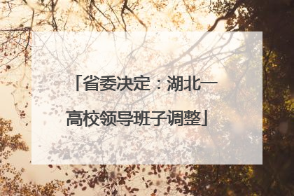 省委决定：湖北一高校领导班子调整