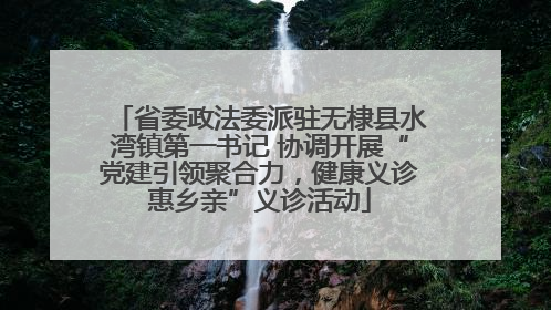 省委政法委派驻无棣县水湾镇第一书记 协调开展“党建引领聚合力，健康义诊惠乡亲”义诊活动