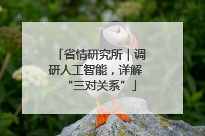 省情研究所｜调研人工智能，详解“三对关系”