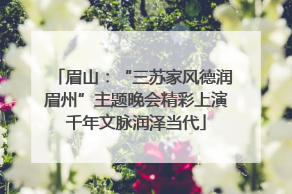 眉山：“三苏家风德润眉州”主题晚会精彩上演千年文脉润泽当代