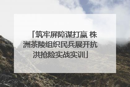 筑牢屏障谋打赢 株洲茶陵组织民兵展开抗洪抢险实战实训