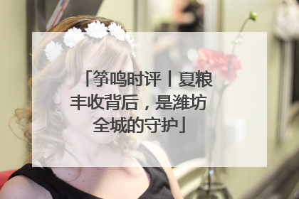 筝鸣时评丨夏粮丰收背后，是潍坊全城的守护