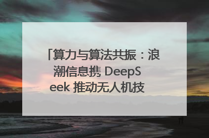 算力与算法共振：浪潮信息携 DeepSeek 推动无人机技术在舟山落地