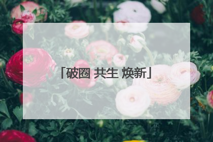 破圈 共生 焕新