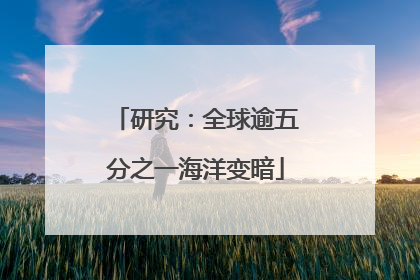 研究：全球逾五分之一海洋变暗