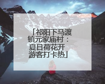 祁阳下马渡镇元家庙村：夏日荷花开 游客打卡热
