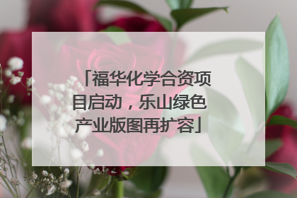 福华化学合资项目启动，乐山绿色产业版图再扩容