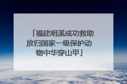 福建明溪成功救助放归国家一级保护动物中华穿山甲