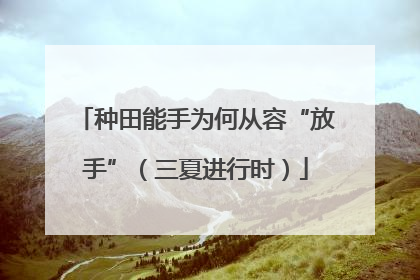 种田能手为何从容“放手”（三夏进行时）