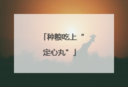 种粮吃上“定心丸”