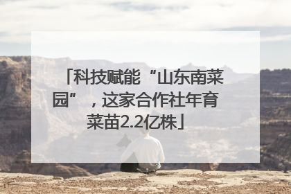 科技赋能“山东南菜园”，这家合作社年育菜苗2.2亿株