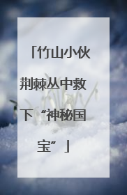 竹山小伙荆棘丛中救下“神秘国宝”