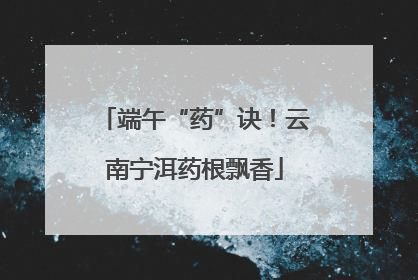 端午“药”诀！云南宁洱药根飘香