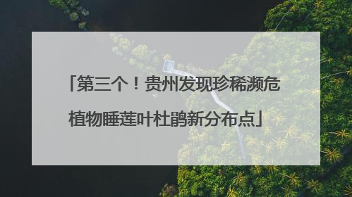 第三个！贵州发现珍稀濒危植物睡莲叶杜鹃新分布点