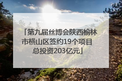 第九届丝博会陕西榆林市横山区签约19个项目 总投资203亿元
