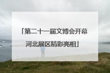 第二十一届文博会开幕 河北展区精彩亮相