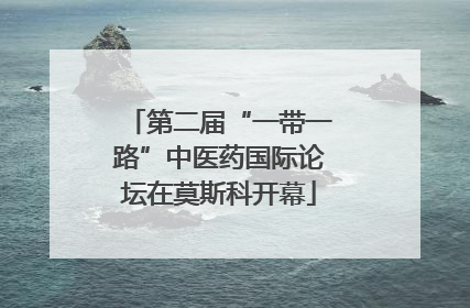 第二届“一带一路”中医药国际论坛在莫斯科开幕