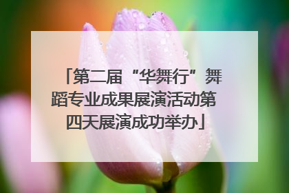 第二届“华舞行”舞蹈专业成果展演活动第四天展演成功举办