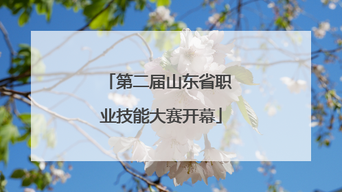 第二届山东省职业技能大赛开幕