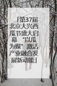 第37届北京大兴西瓜节盛大启幕 “以瓜为媒”激活产业融合发展新动能