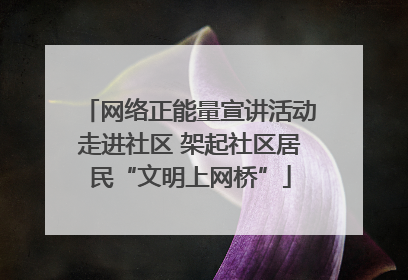网络正能量宣讲活动走进社区 架起社区居民“文明上网桥”