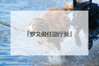 罗文俊任副厅长