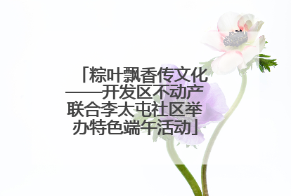 粽叶飘香传文化——开发区不动产联合李太屯社区举办特色端午活动