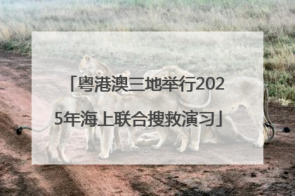 粤港澳三地举行2025年海上联合搜救演习