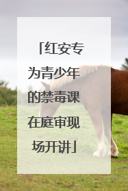红安专为青少年的禁毒课在庭审现场开讲