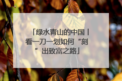 绿水青山的中国丨看一刀一划如何“刻”出致富之路