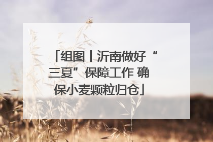 组图丨沂南做好“三夏”保障工作 确保小麦颗粒归仓