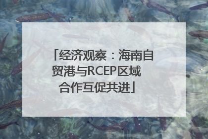 经济观察：海南自贸港与RCEP区域合作互促共进