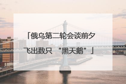 俄乌第二轮会谈前夕 飞出数只 “黑天鹅”