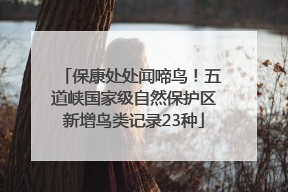 保康处处闻啼鸟！五道峡国家级自然保护区新增鸟类记录23种