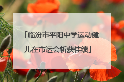 临汾市平阳中学运动健儿在市运会斩获佳绩